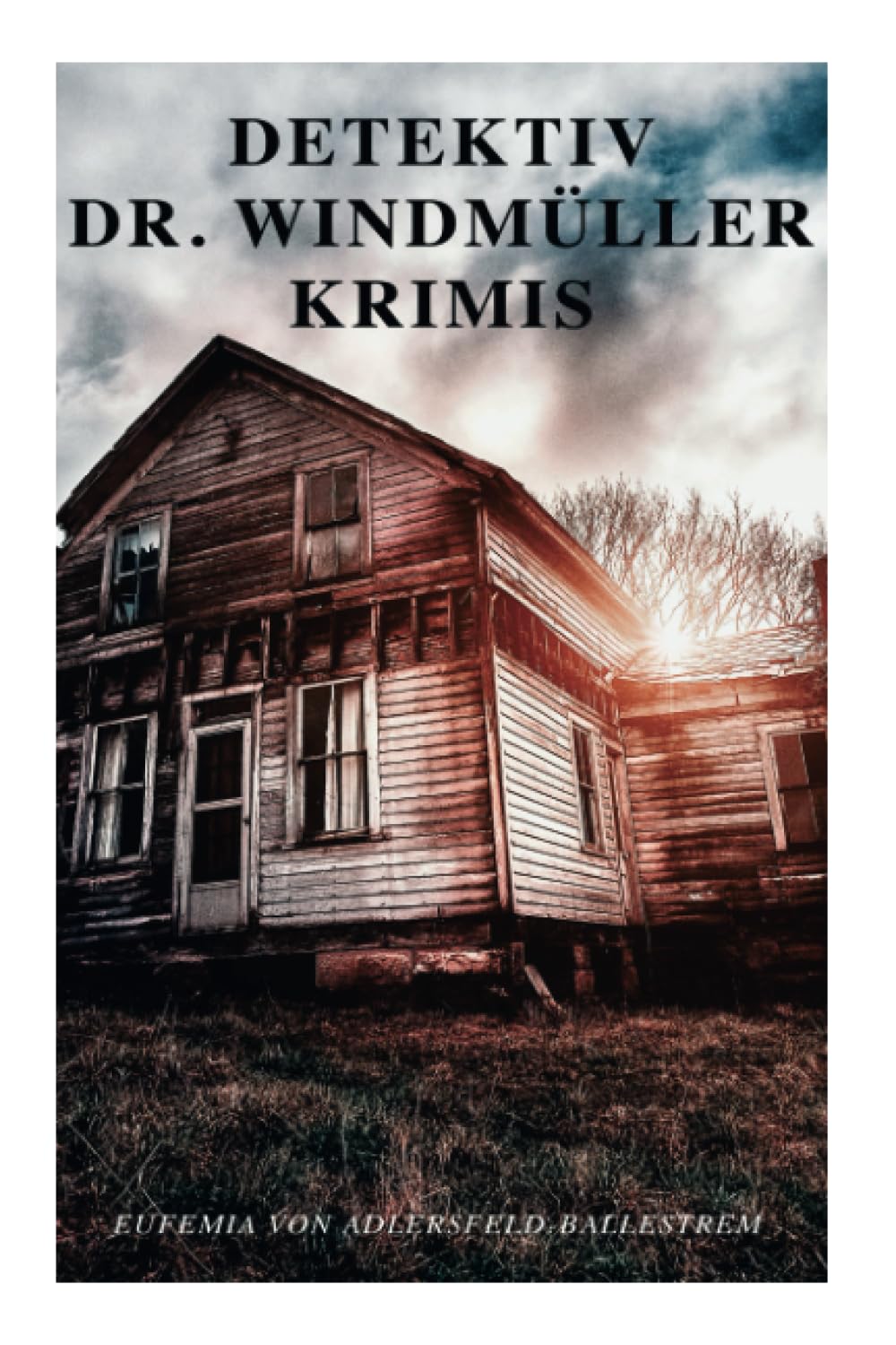 Detektiv Dr. Windmüller-Krimis Action & Adventure