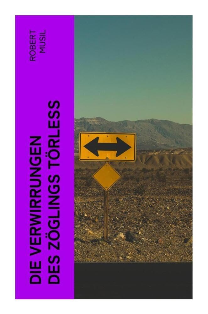 Die Verwirrungen des Zöglings Törleß Contemporary literature