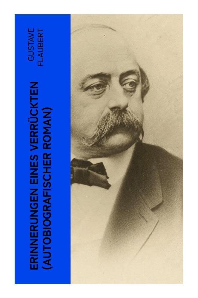 Erinnerungen eines Verrückten (Autobiografischer Roman) Contemporary literature