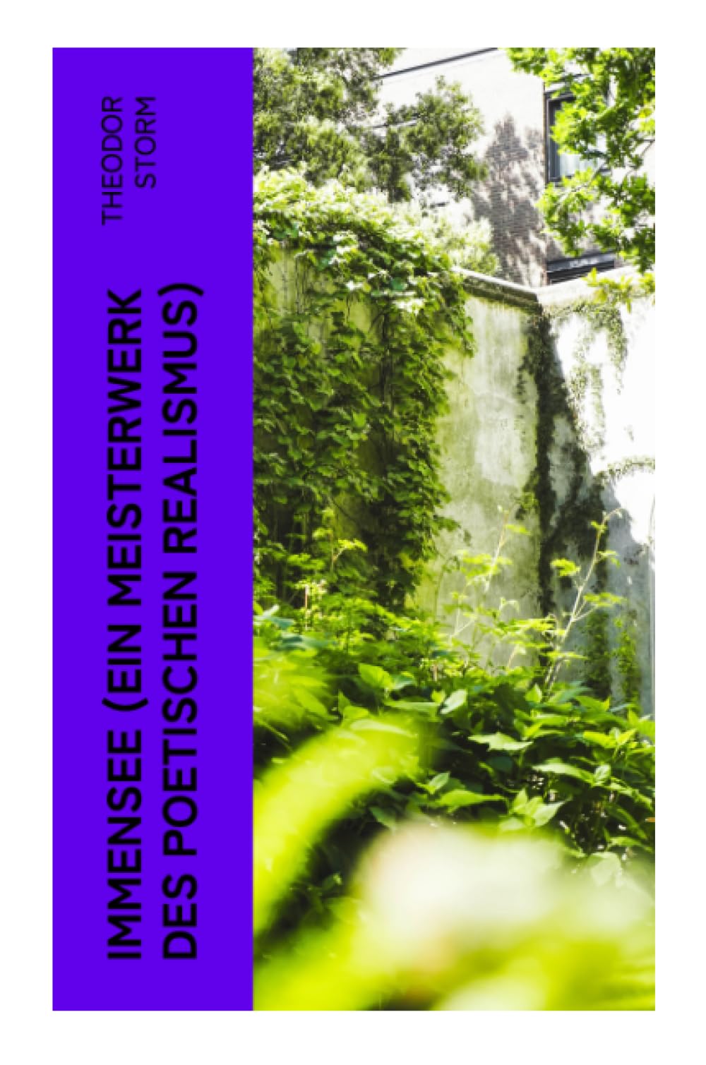 Immensee (Ein Meisterwerk des poetischen Realismus) Classics