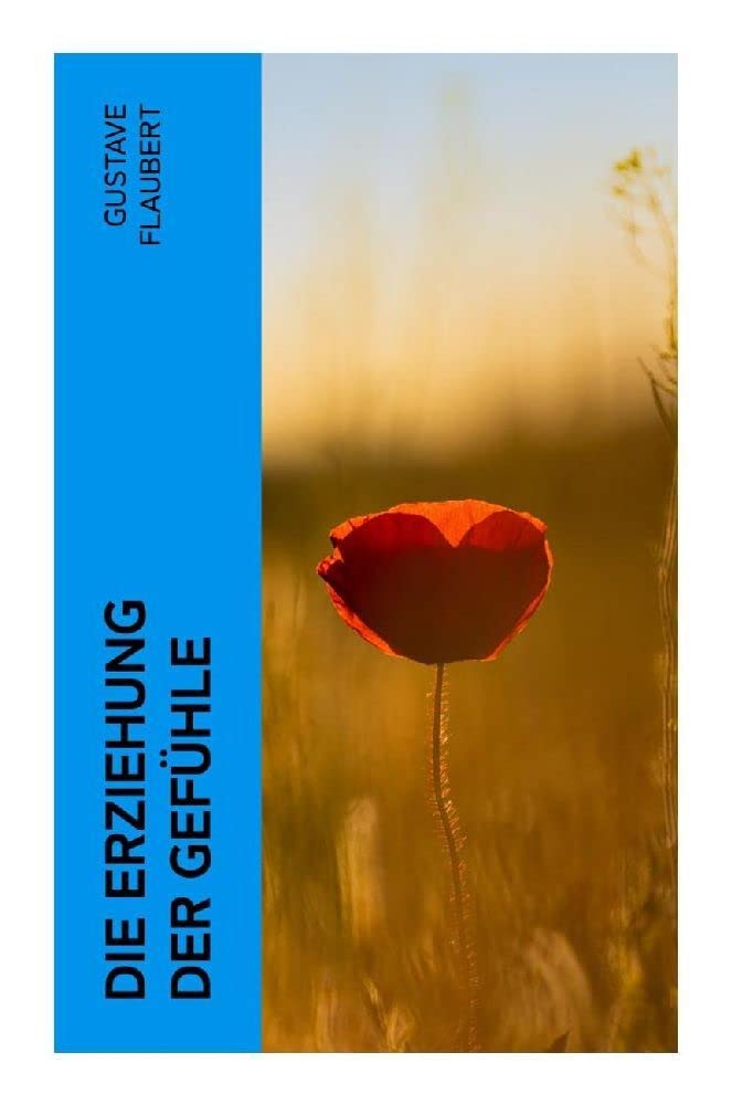 Die Erziehung der Gefühle: Geschichte eines jungen Mannes - Lehrjahre des Herzens Classics