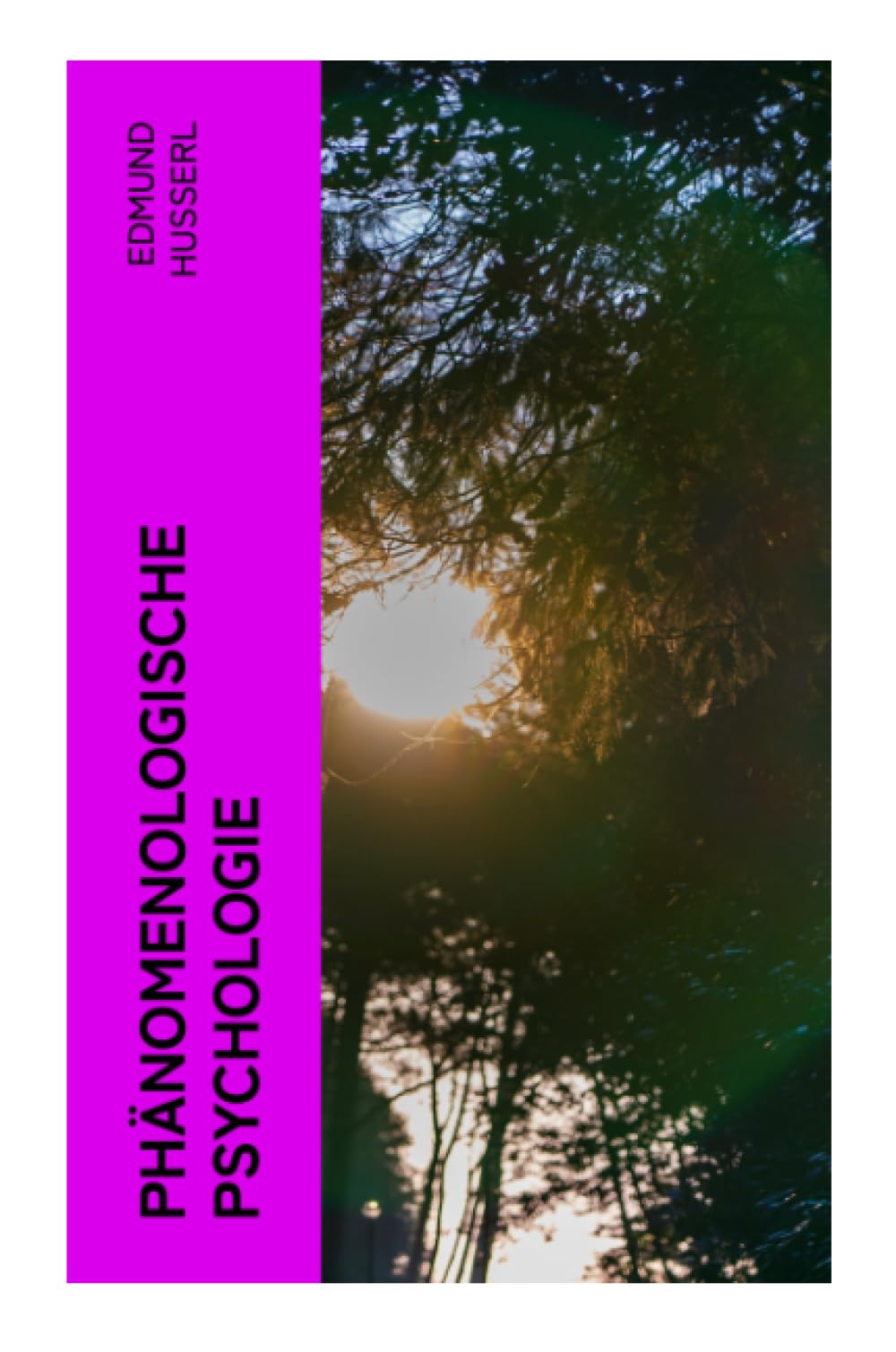 Phänomenologische Psychologie Philosophy
