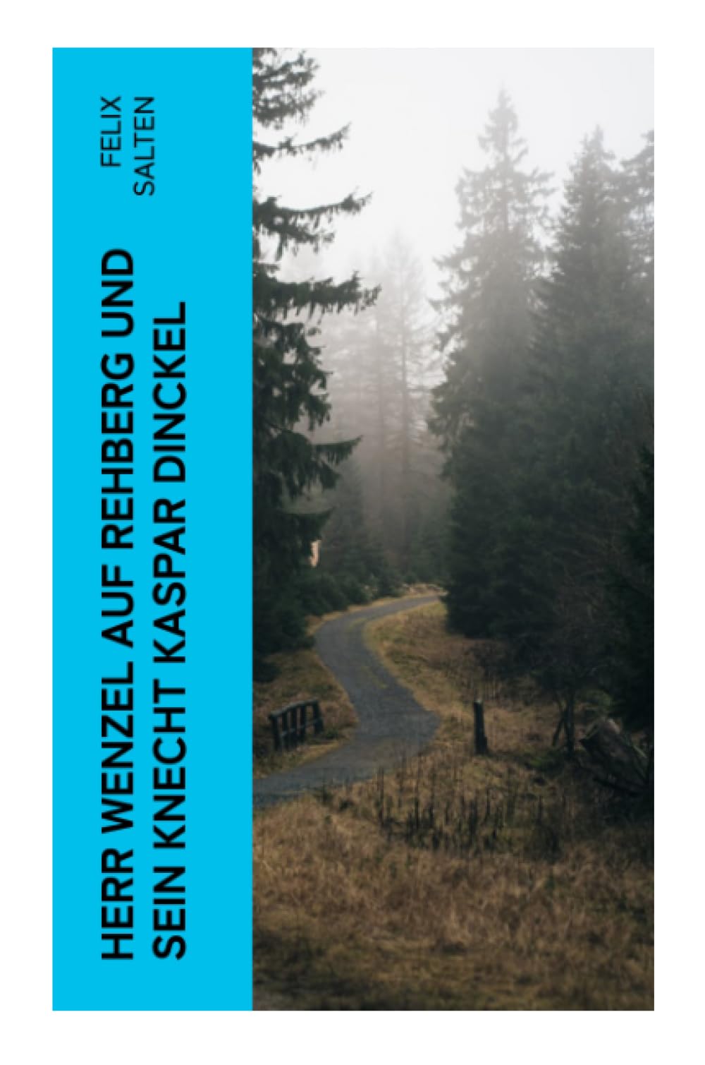 Herr Wenzel auf Rehberg und sein Knecht Kaspar Dinckel Historical Fiction