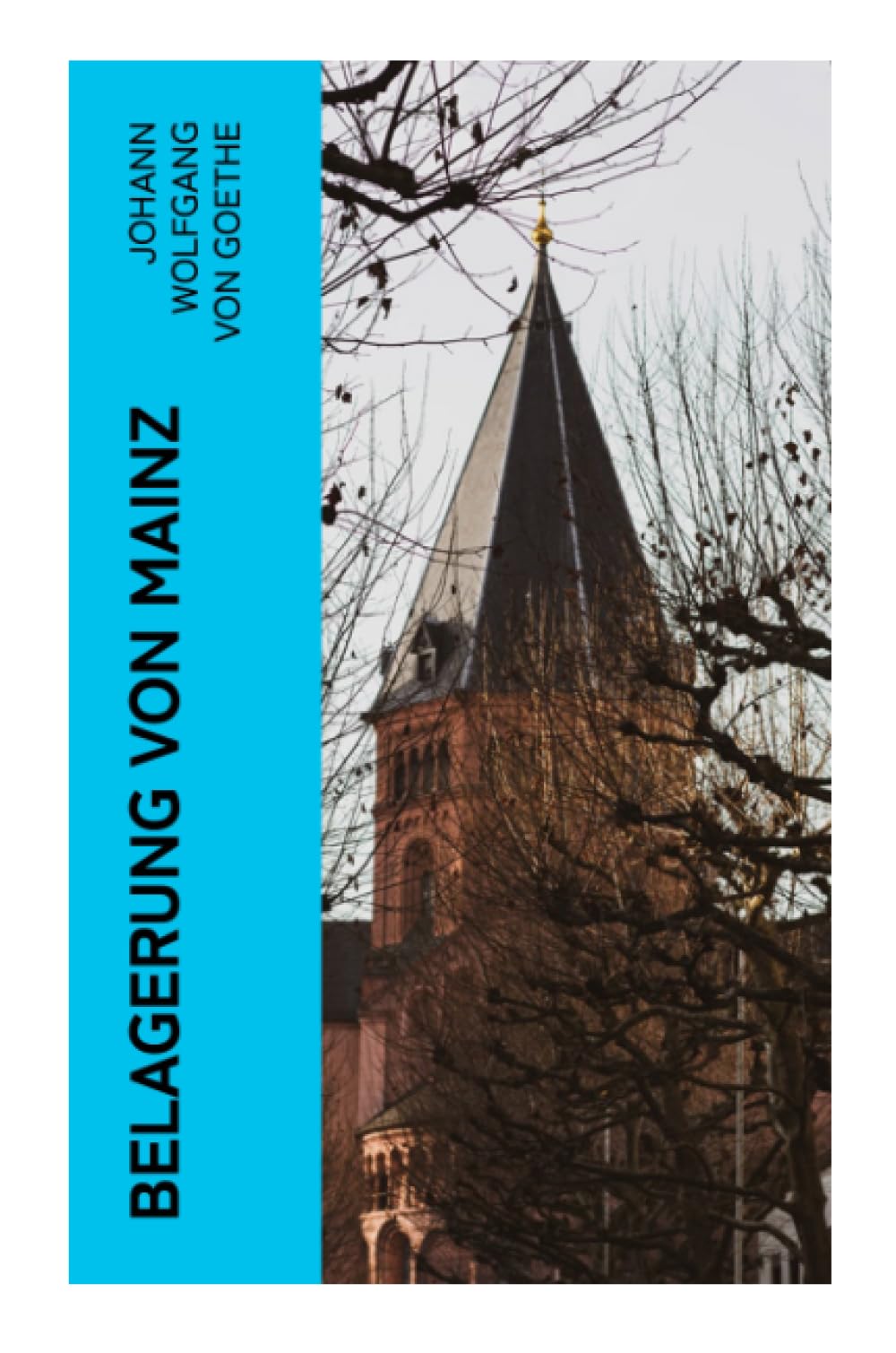 Belagerung von Mainz Politics & History