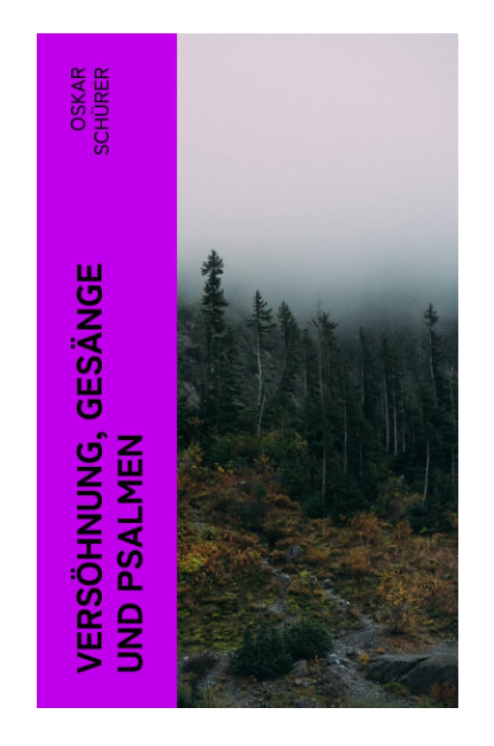 Versöhnung, Gesänge und Psalmen Poetry