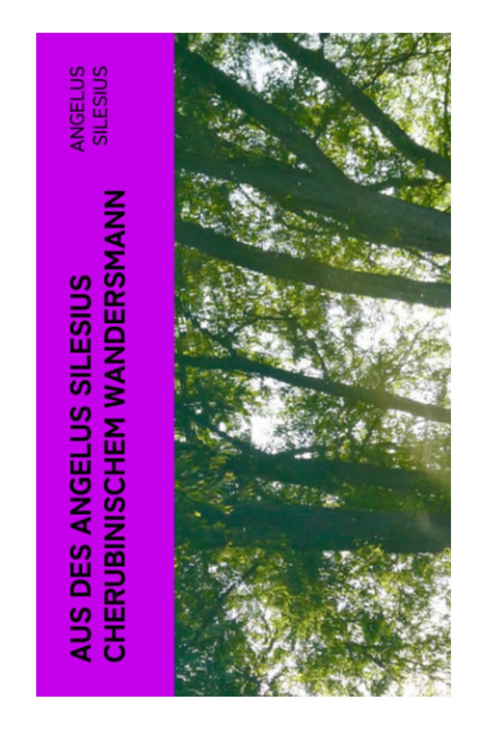 Aus des Angelus Silesius Cherubinischem Wandersmann Poetry