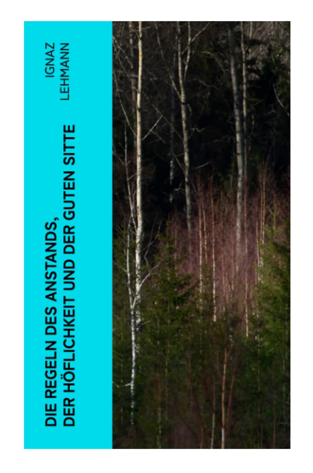 Die Regeln des Anstands, der Höflichkeit und der guten Sitte Social Sciences