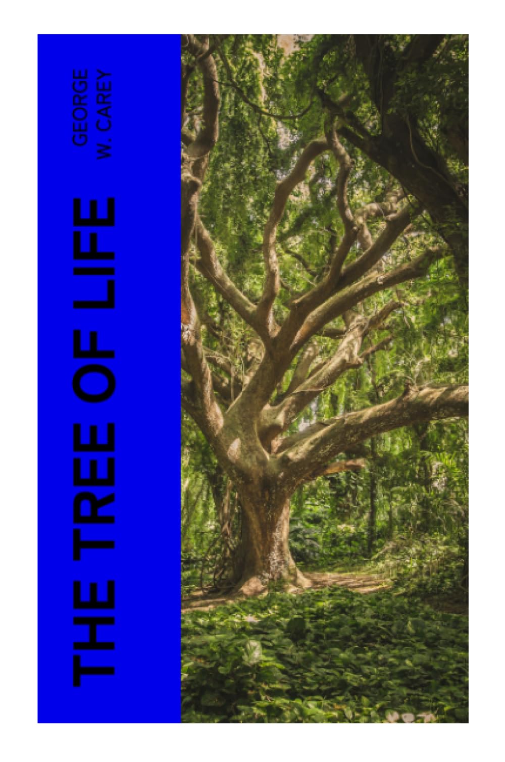 The Tree of Life Religion & Esotericism