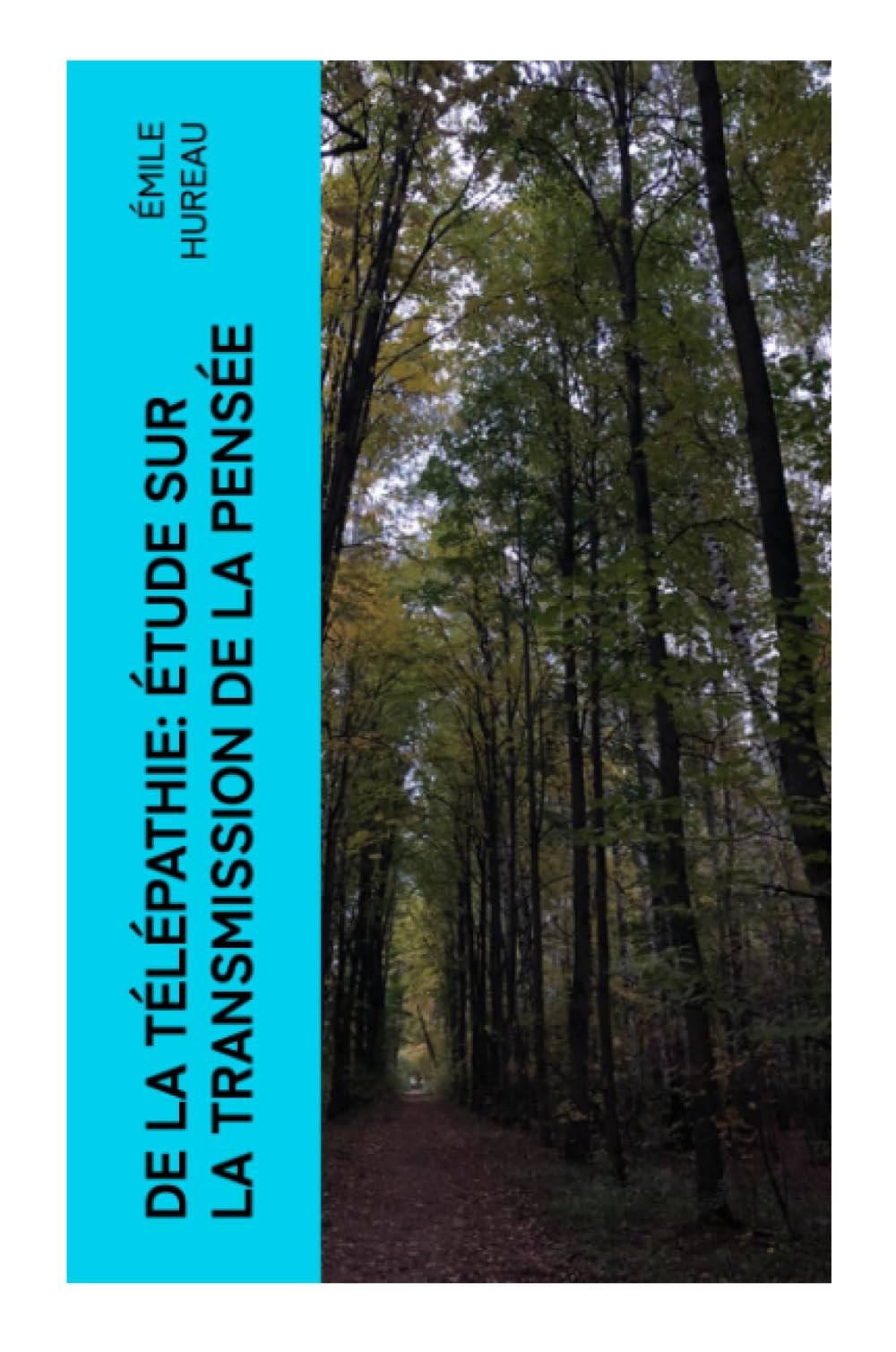 De la télépathie: Étude sur la transmission de la pensée Religion & Esotericism