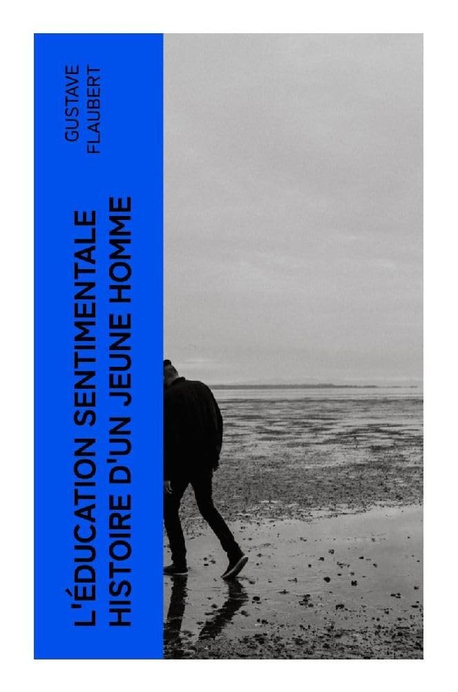 L'Éducation sentimentale histoire d'un jeune homme Classics