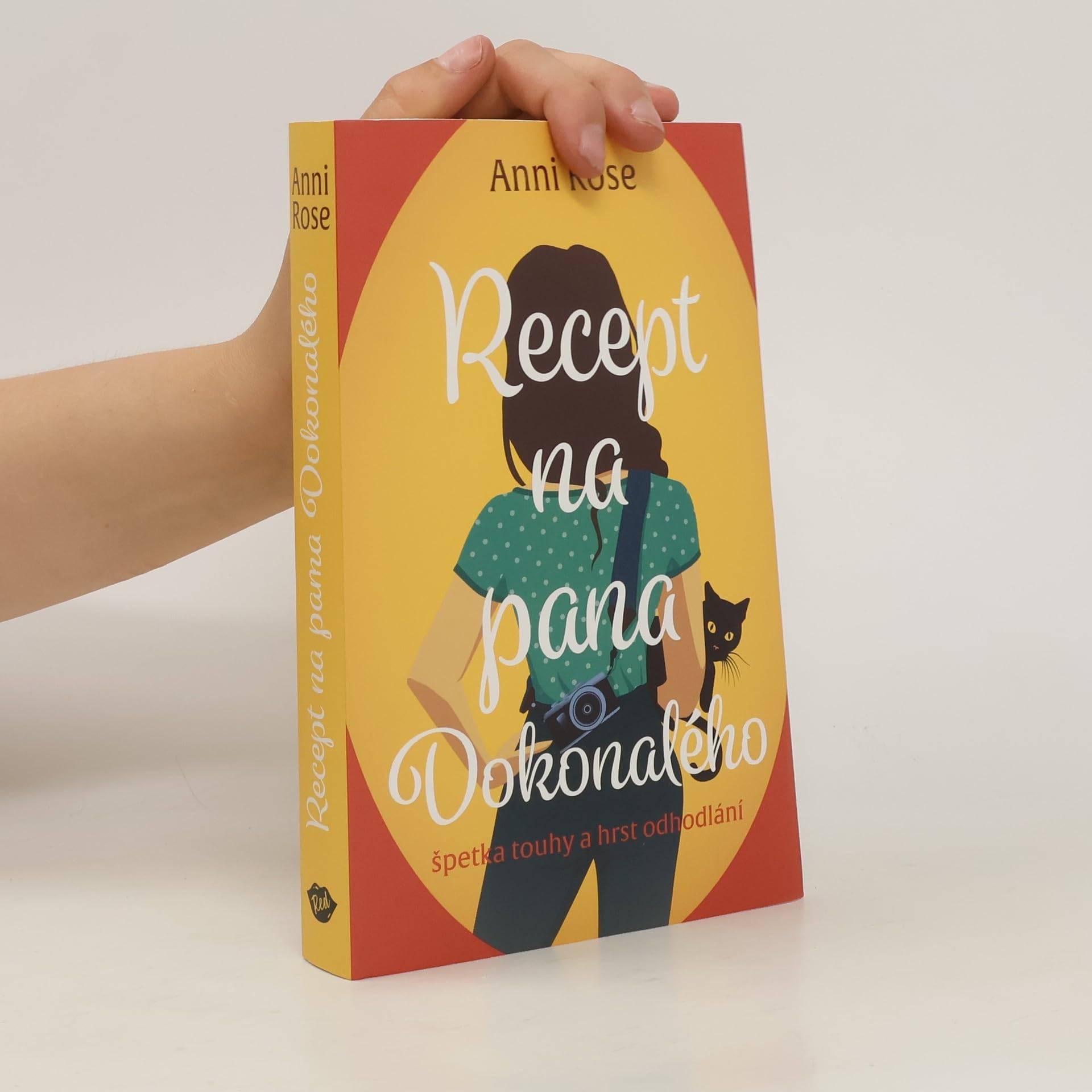 Recept na pana Dokonalého (2024) Books