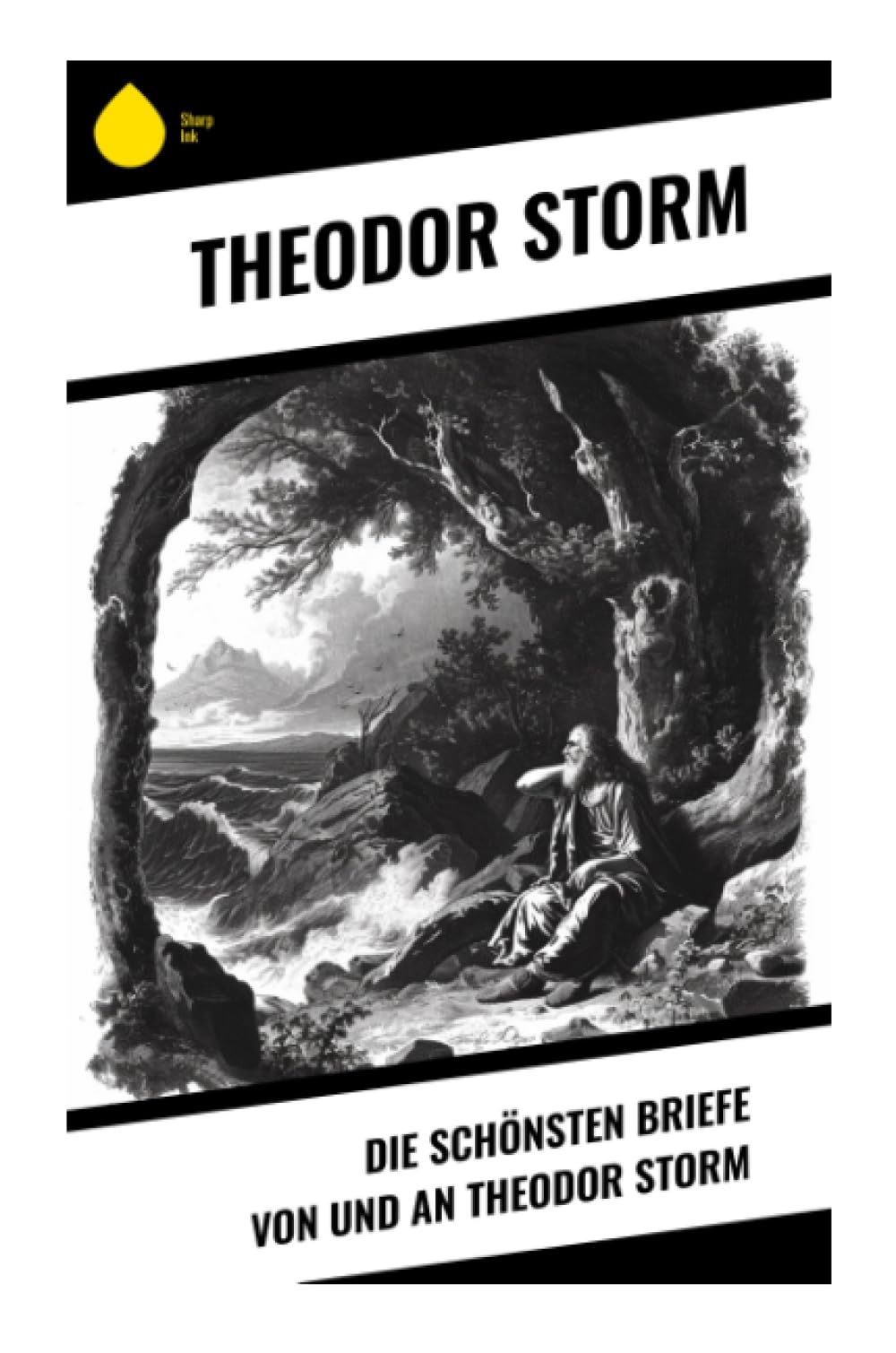 Die schönsten Briefe von und an Theodor Storm Contemporary literature