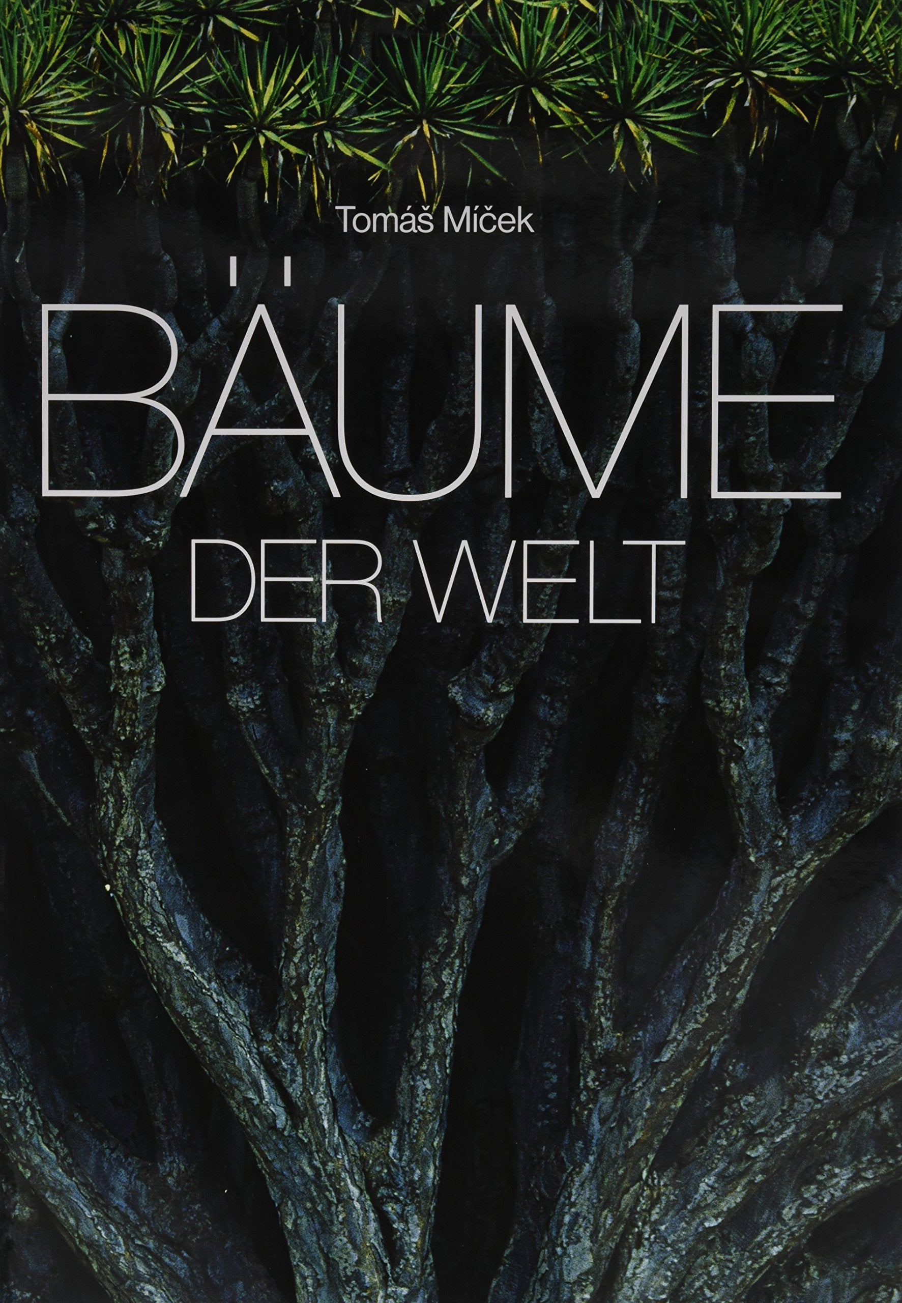 Bäume der Welt. Trees of the World: Deutsch-Englisch-Französisch-Niederländisch-Spanisch Film, Art & Culture
