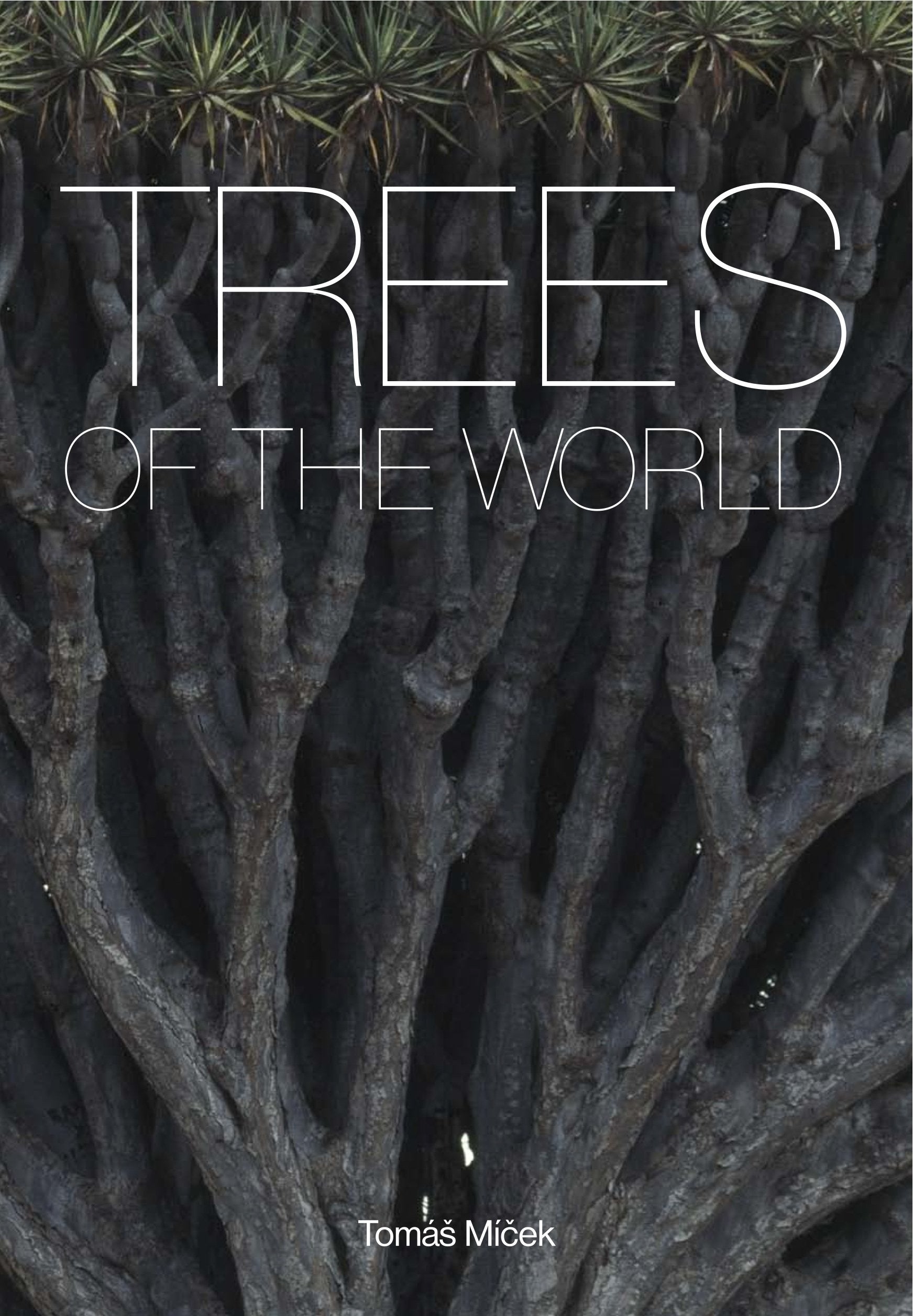 Trees of the World Photography