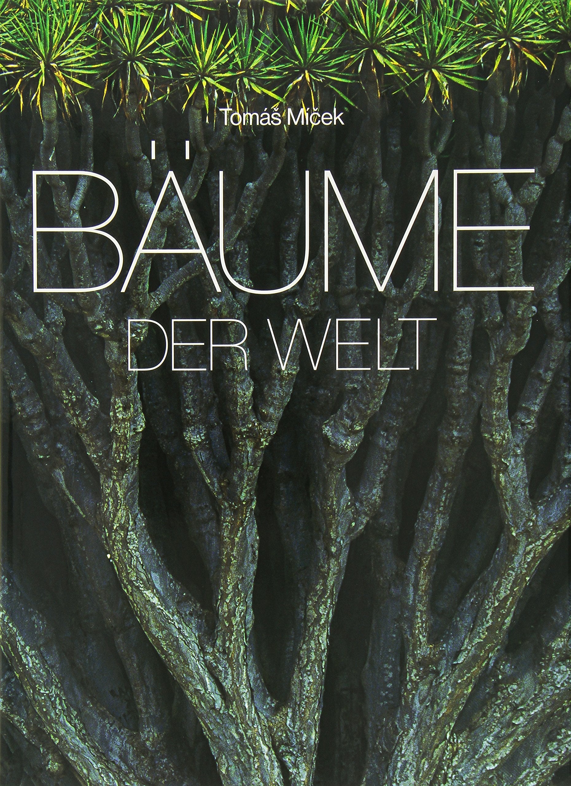 Bäume der Welt Hobbies & Crafts