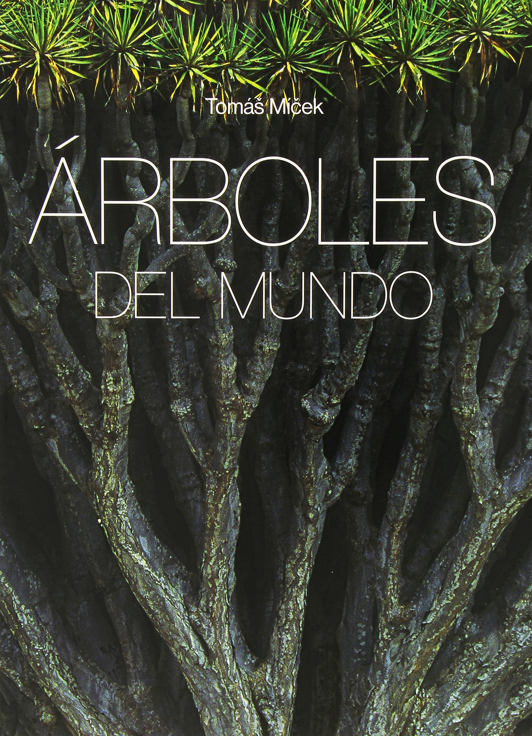 Árboles del mundo Social Sciences
