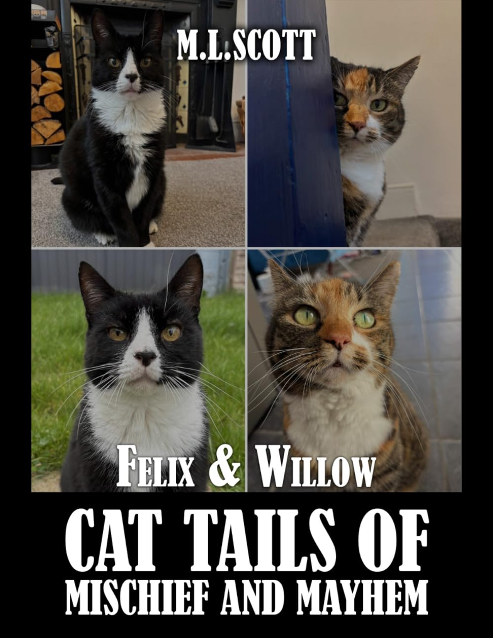 Felix & Willow cat tails of mischief and mayhem Leisure, Home & Garden