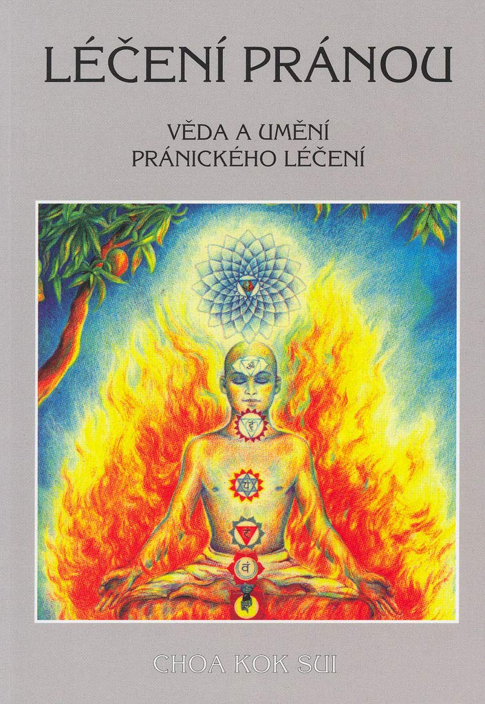 Léčení pránou: Věda a umění pránického léčení (1996) book