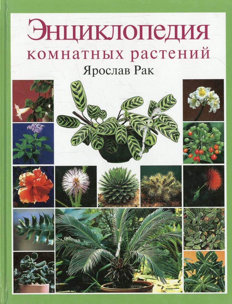 Entsiklopediya komnatnyh rasteniy Books