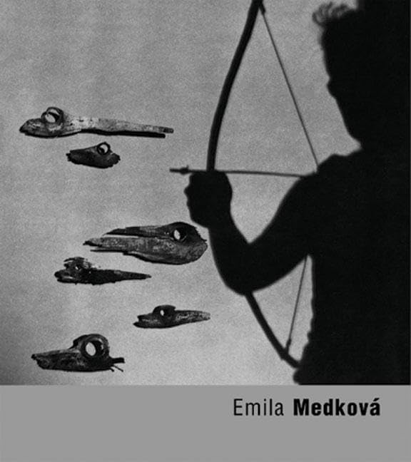 Emilia Medkova book