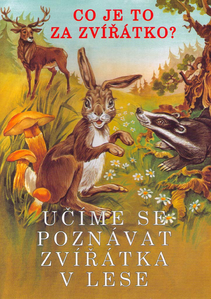 Učíme se poznávat zvířátka v lese: Co je to za zvířátko? (2004) Books