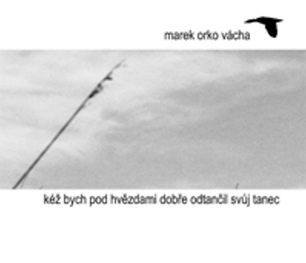 Kéž bych pod hvězdami dobře odtančil svůj tanec Books