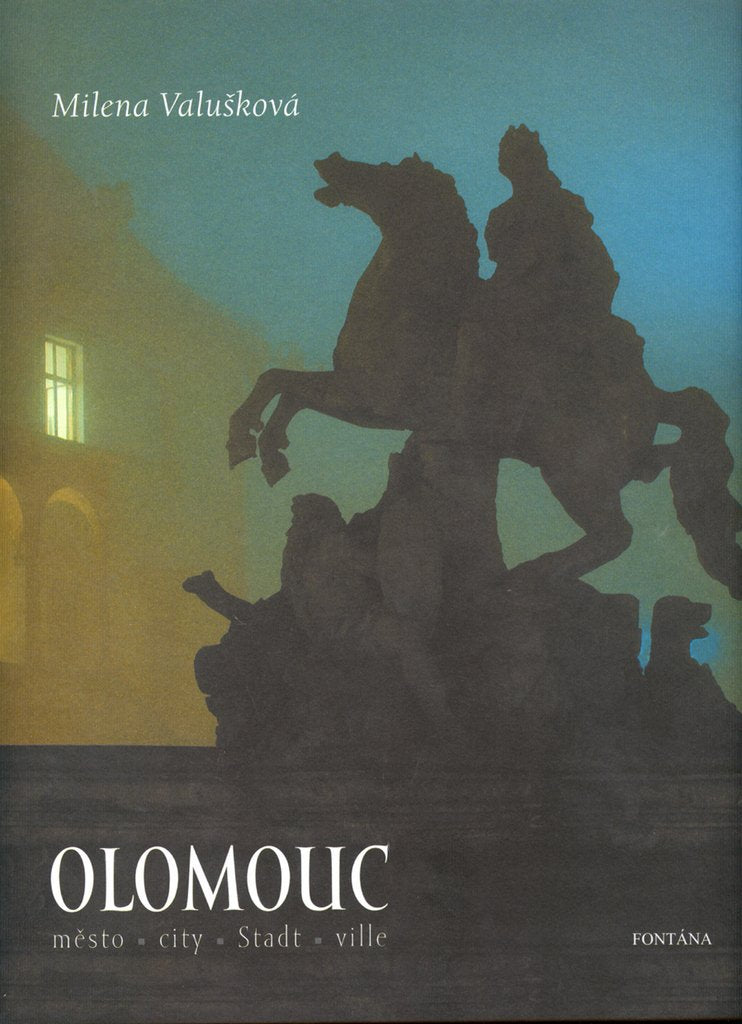Olomouc: město, city, Stadt, ville (2005) Books