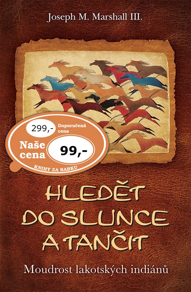 Hledět do slunce a tančit: Moudrost lakotských indiánů (2016) Books