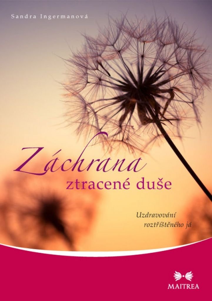 Záchrana ztracené duše: Uzdravování roztříštěného já (2015) Books