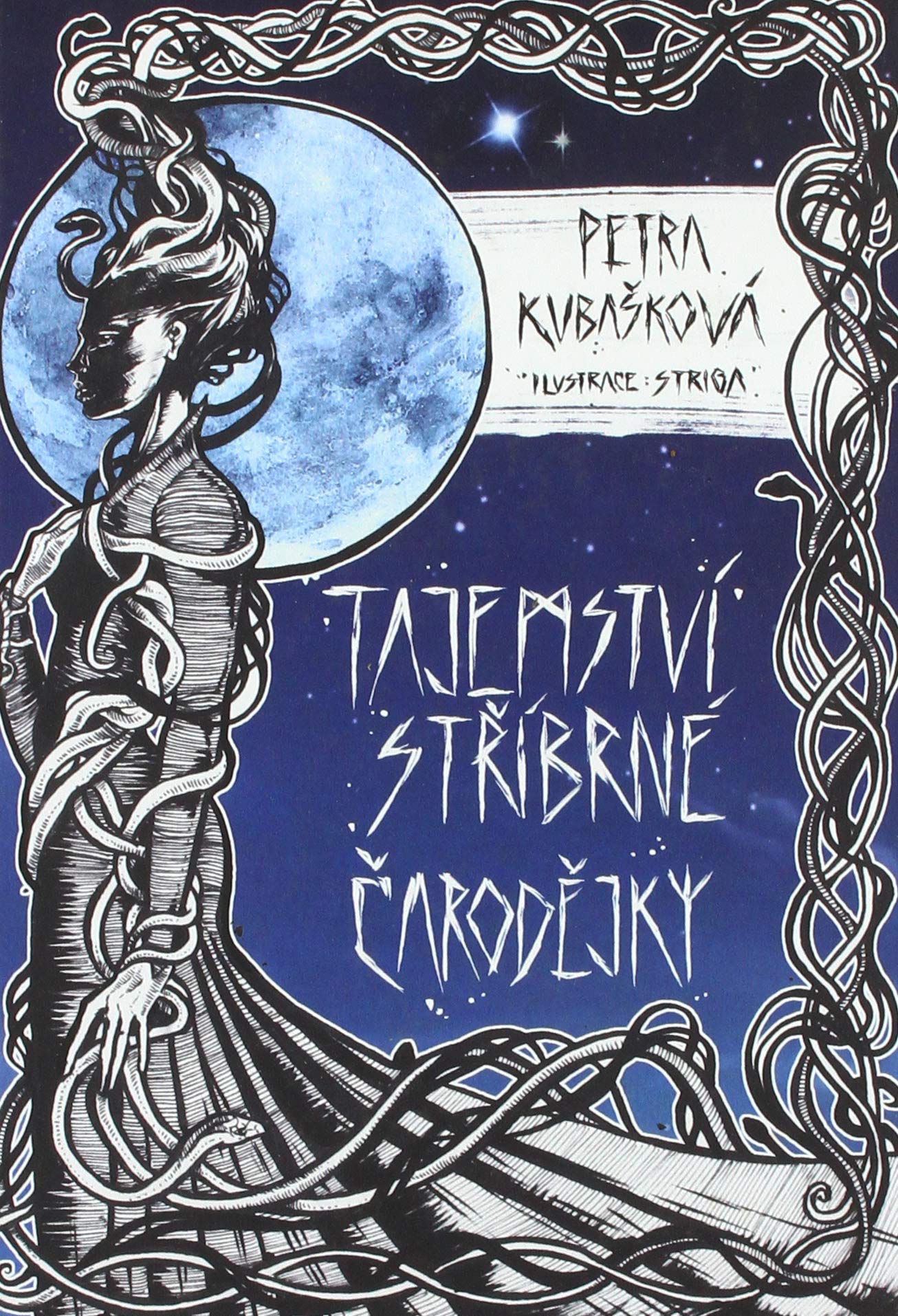Tajemství stříbrné čarodějky (2020) Books
