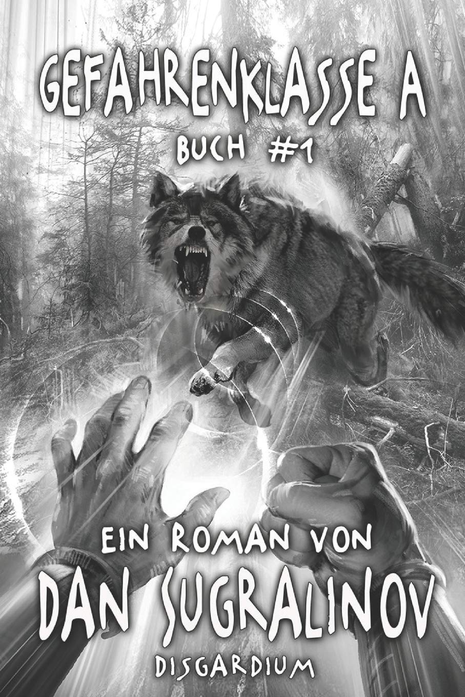 Gefahrenklasse A (Disgardium Buch #1): LitRPG-Serie Contemporary literature