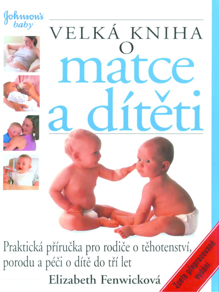 Velká kniha o matce a dítěti: Praktická příručka pro rodiče o těhotenství (2006) book