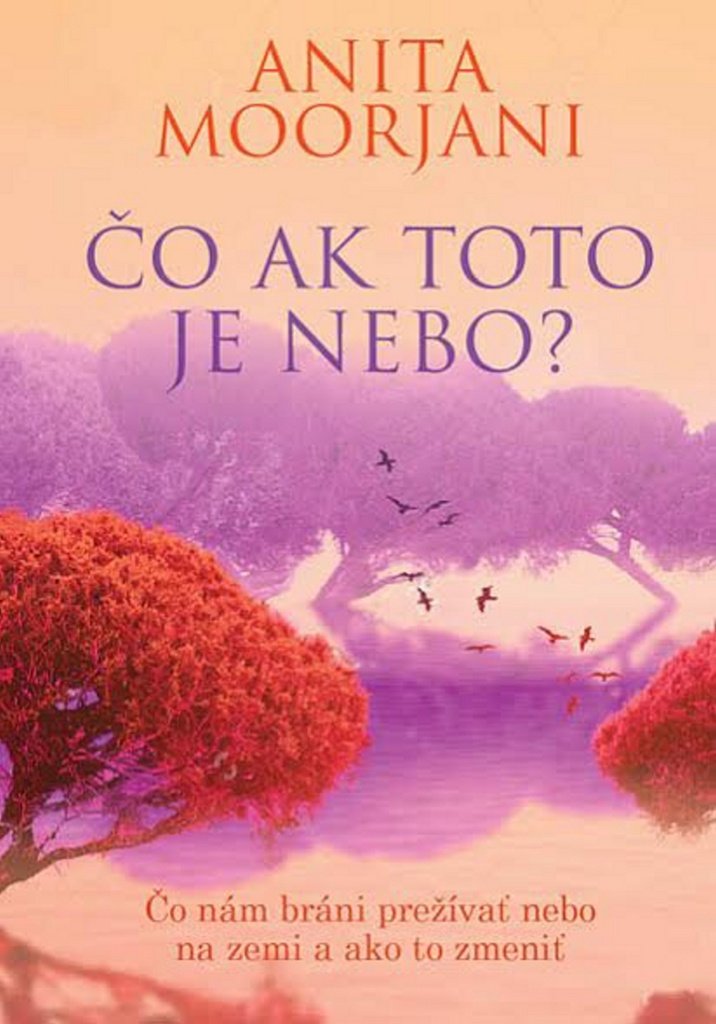 Čo ak toto je nebo?: Čo nám bráni prežívať nebo na zemi a ako to zmeniť (2016) Books