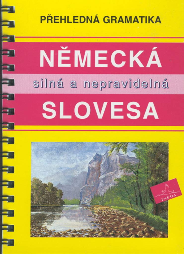 Německá silná a nepravidelná slovesa: Přehledná gramatika Books
