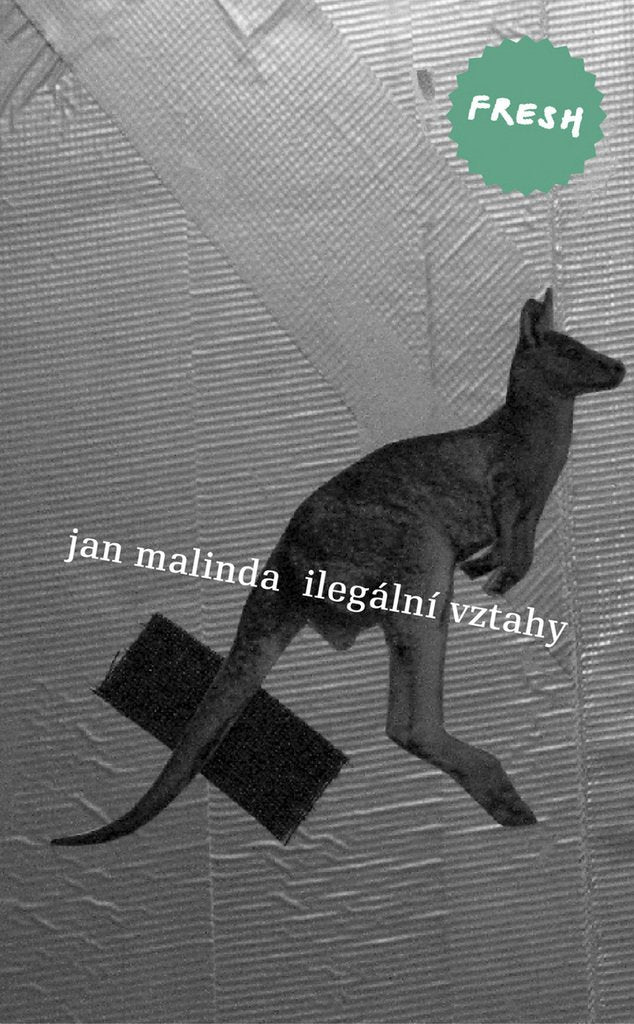 Ilegální vztahy (2008) Books