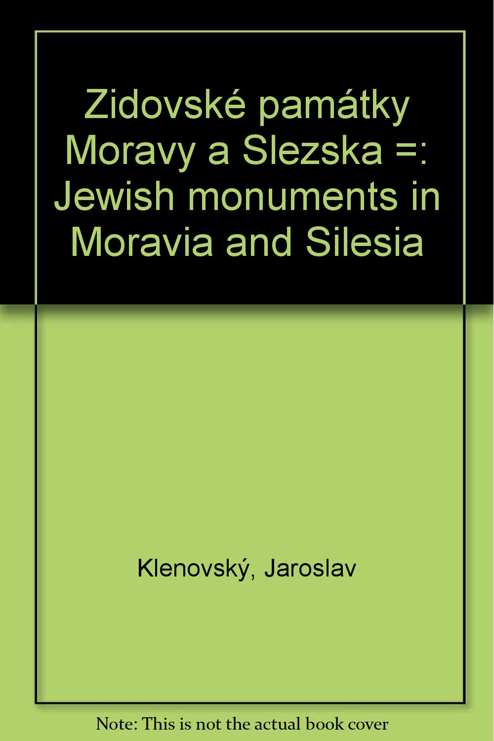 Zidovske pamatky Moravy a Slezska =: Jewish monuments in Moravia and Silesia (Czech Edition) Books