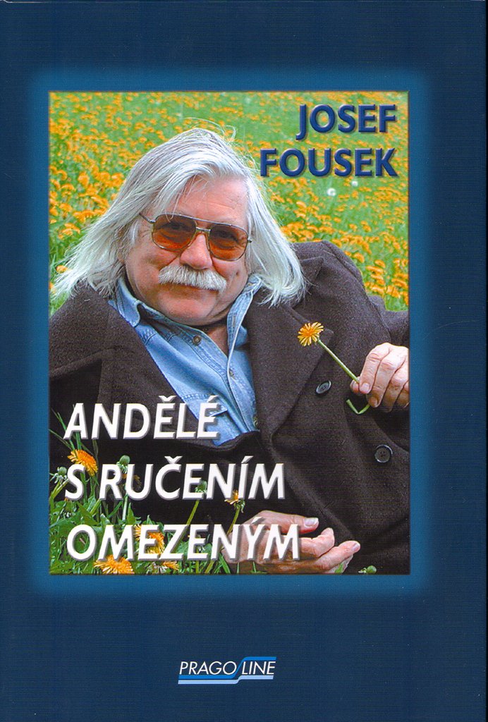 Andělé s ručením omezeným (2005) Books