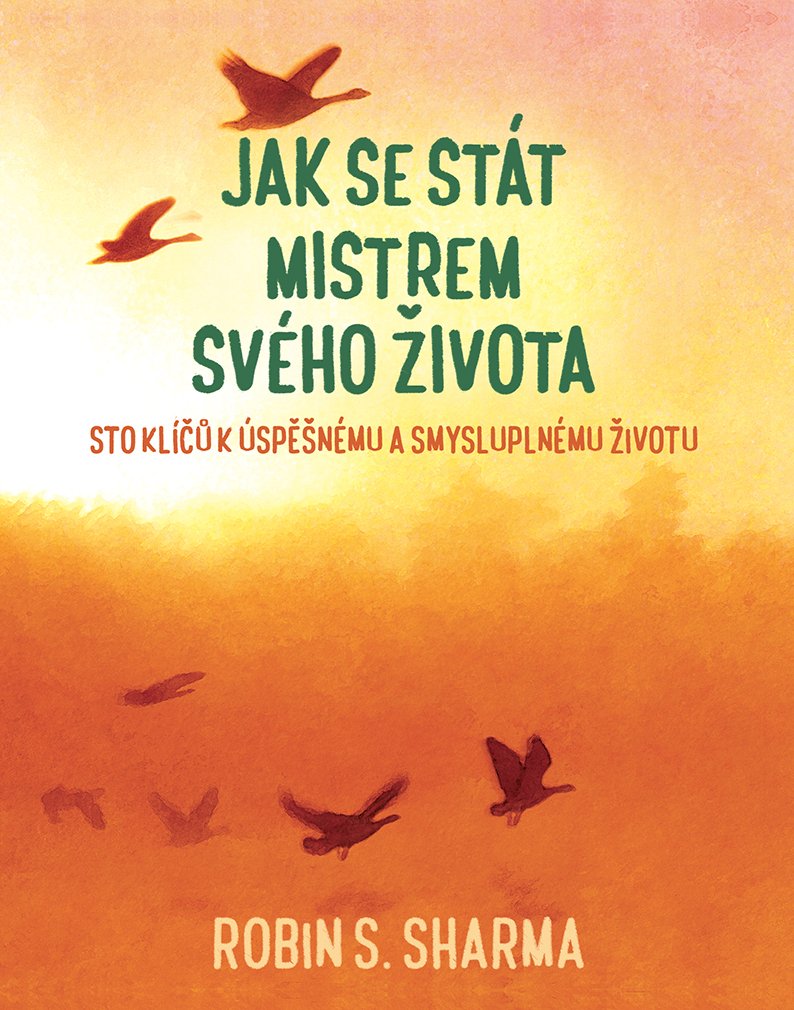 Jak se stát mistrem svého života: Sto klíčů k úspěšnému a smysluplnému životu (2017) Books