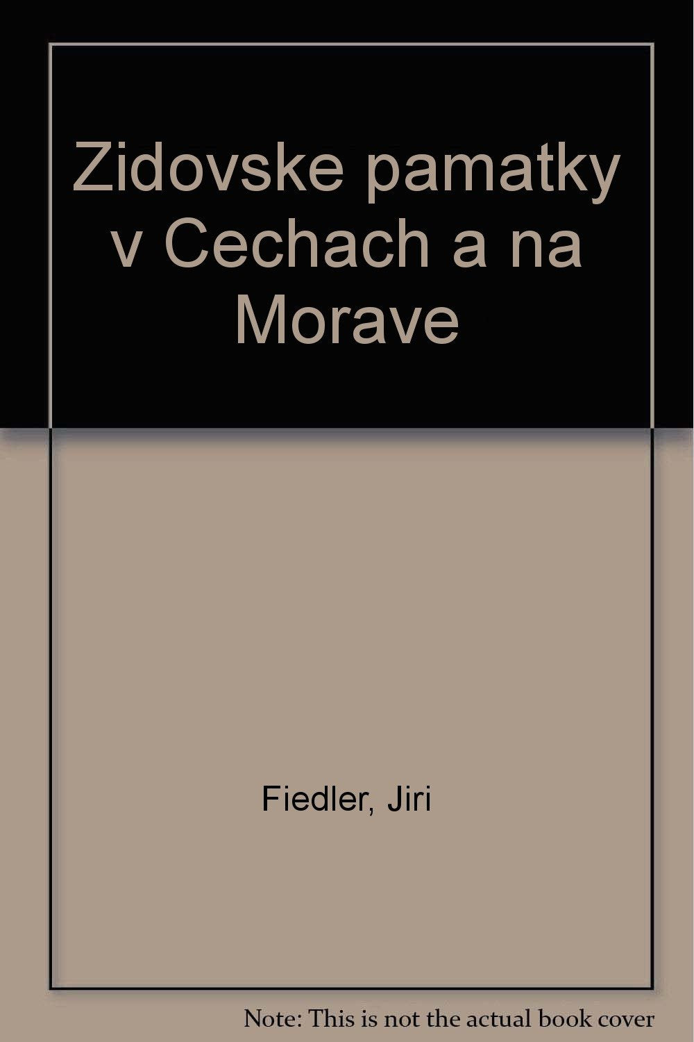 Zidovske pamatky v Cechach a na Morave (Czech Edition). Books