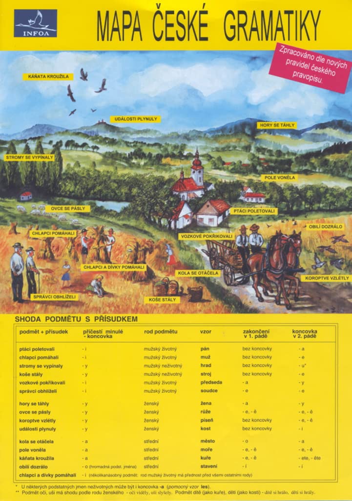 Mapa české gramatiky: Zpracováno dle nových pravidel (2002) Books