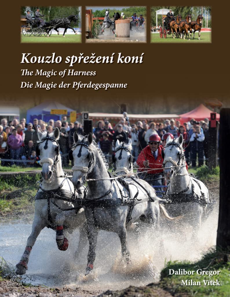 Kouzlo spřežení koní (2011) Books