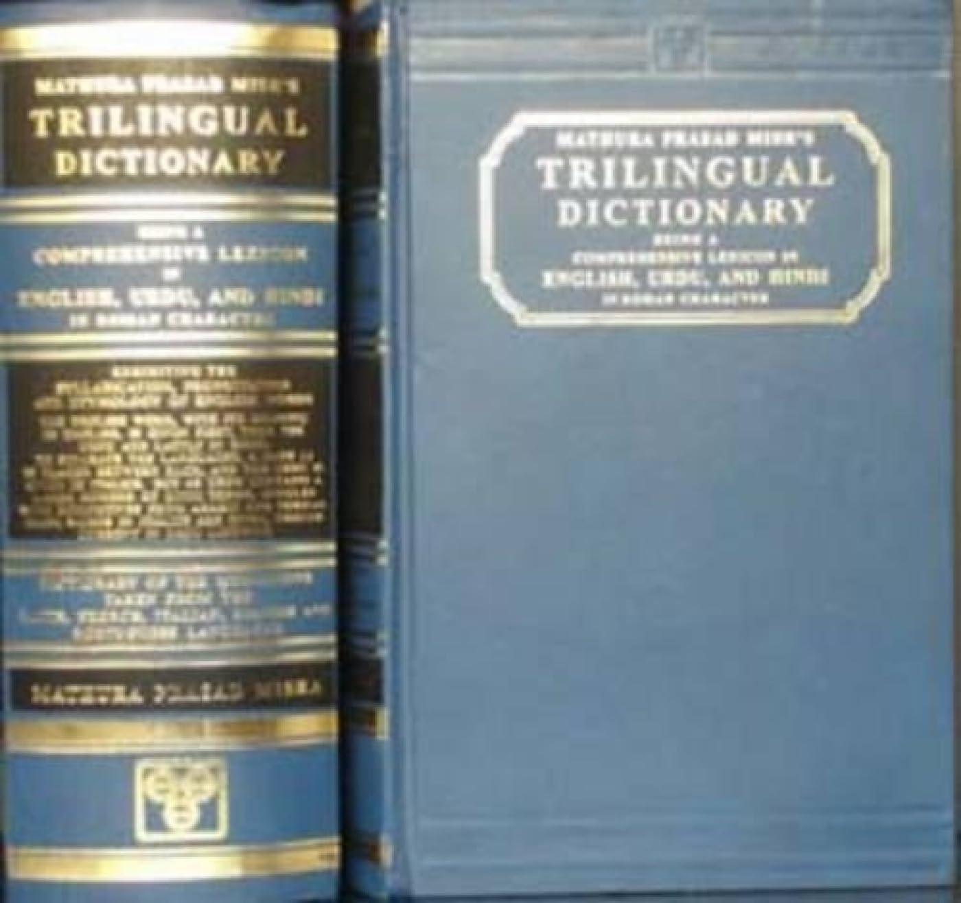 Trilingual Dictionary: A Comprehensive Lexicon in English, Urdu, and Hindi (Romanised) Foreign Languages ​​& Dictionaries