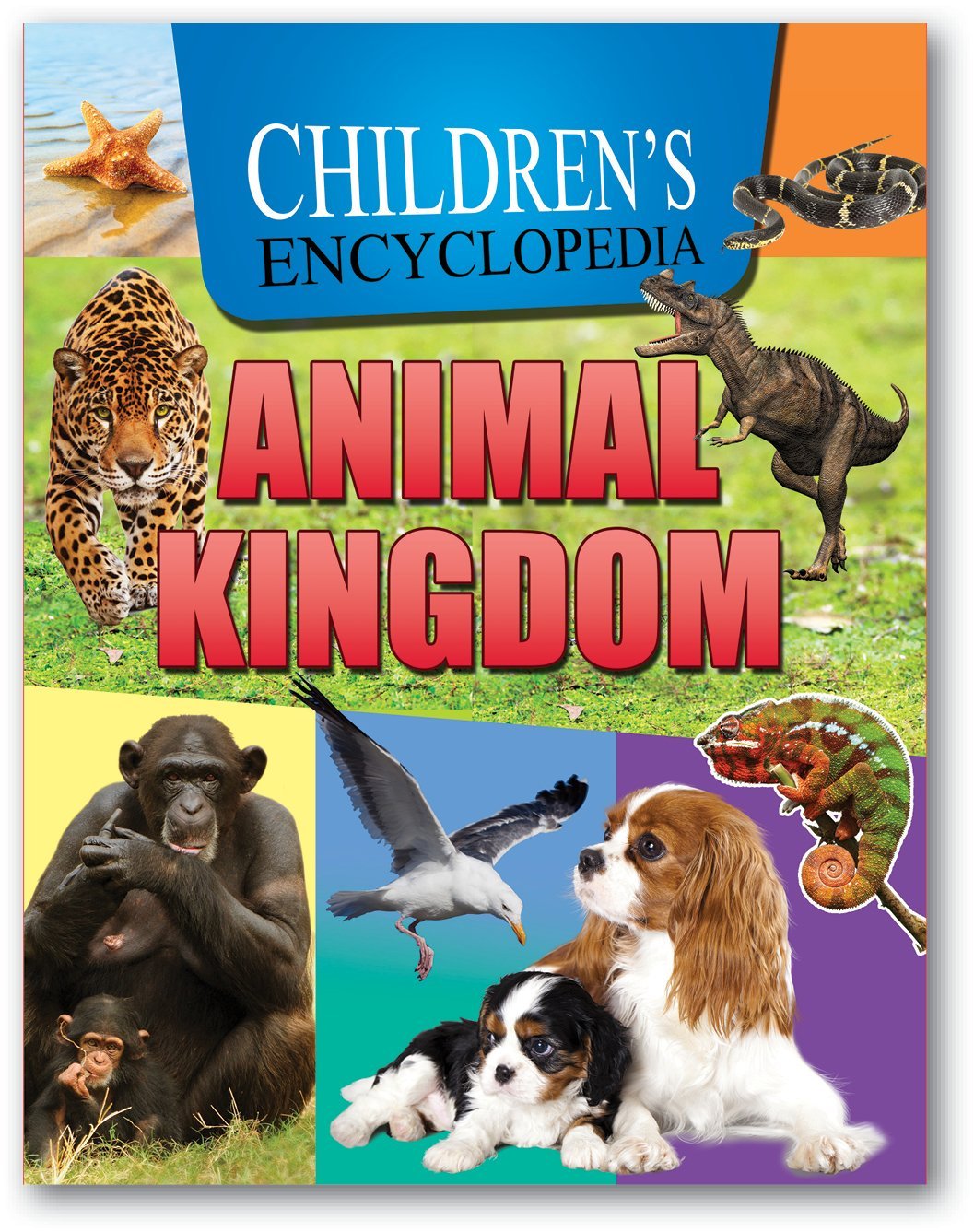 Junior Encyclopedia Animal Kingdom Non-fiction