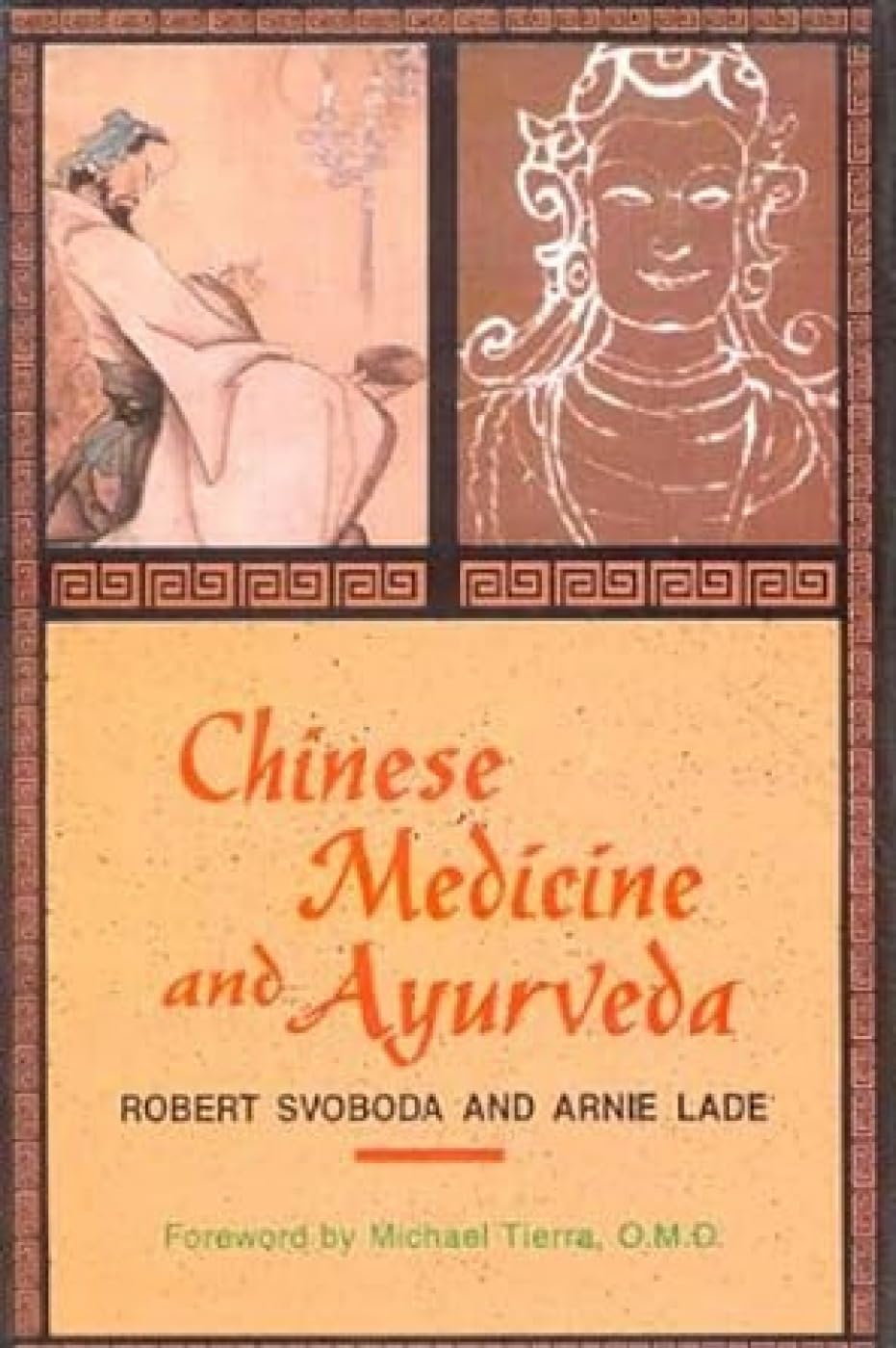 Chinese Medicine and Ayurveda book