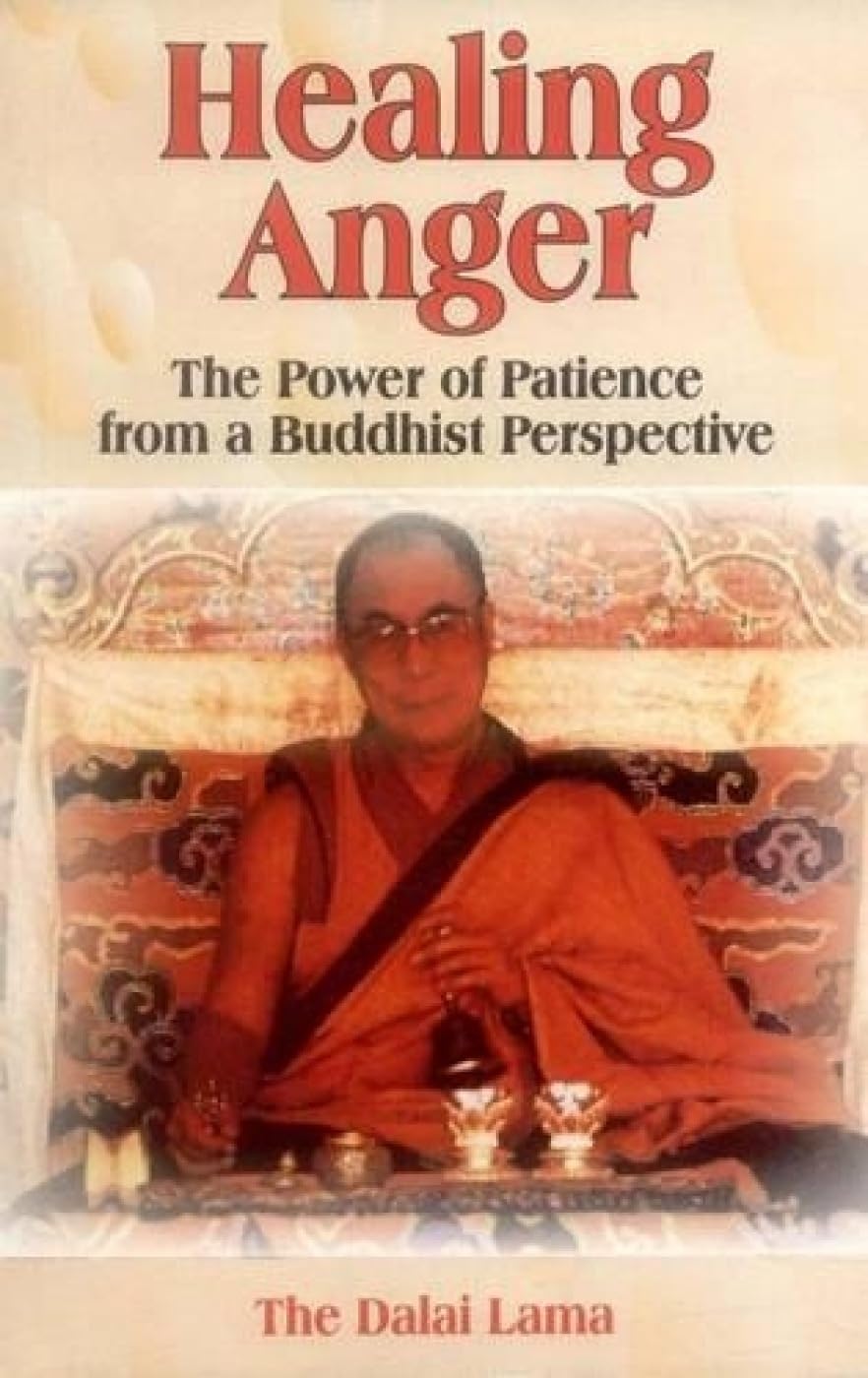 Healing Anger: The Power of Patience from a Buddhist Perspective Social Sciences