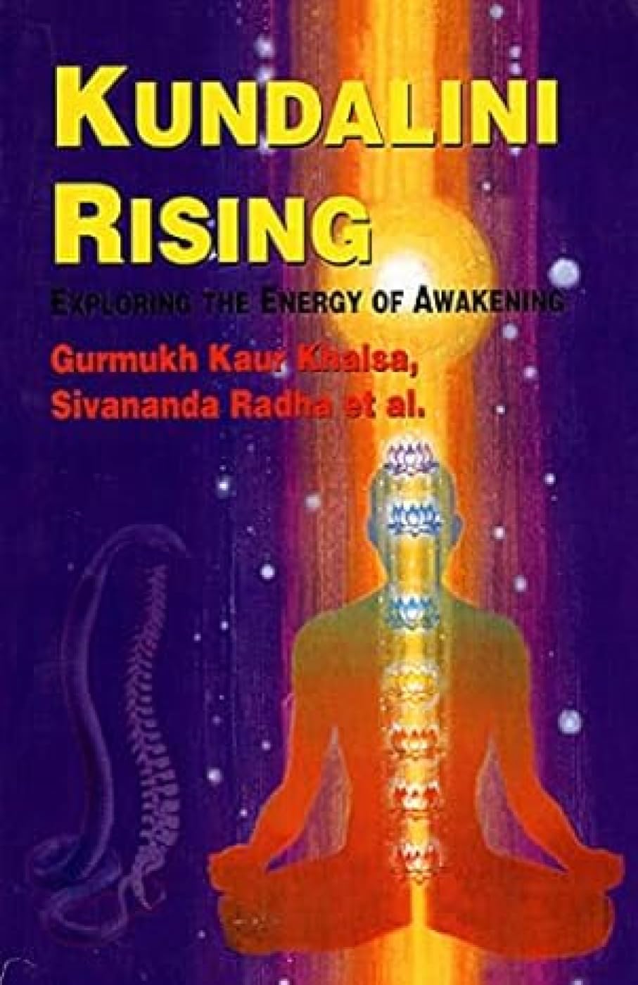 Kundalini Rising: Exploring the Energy of Awakening book