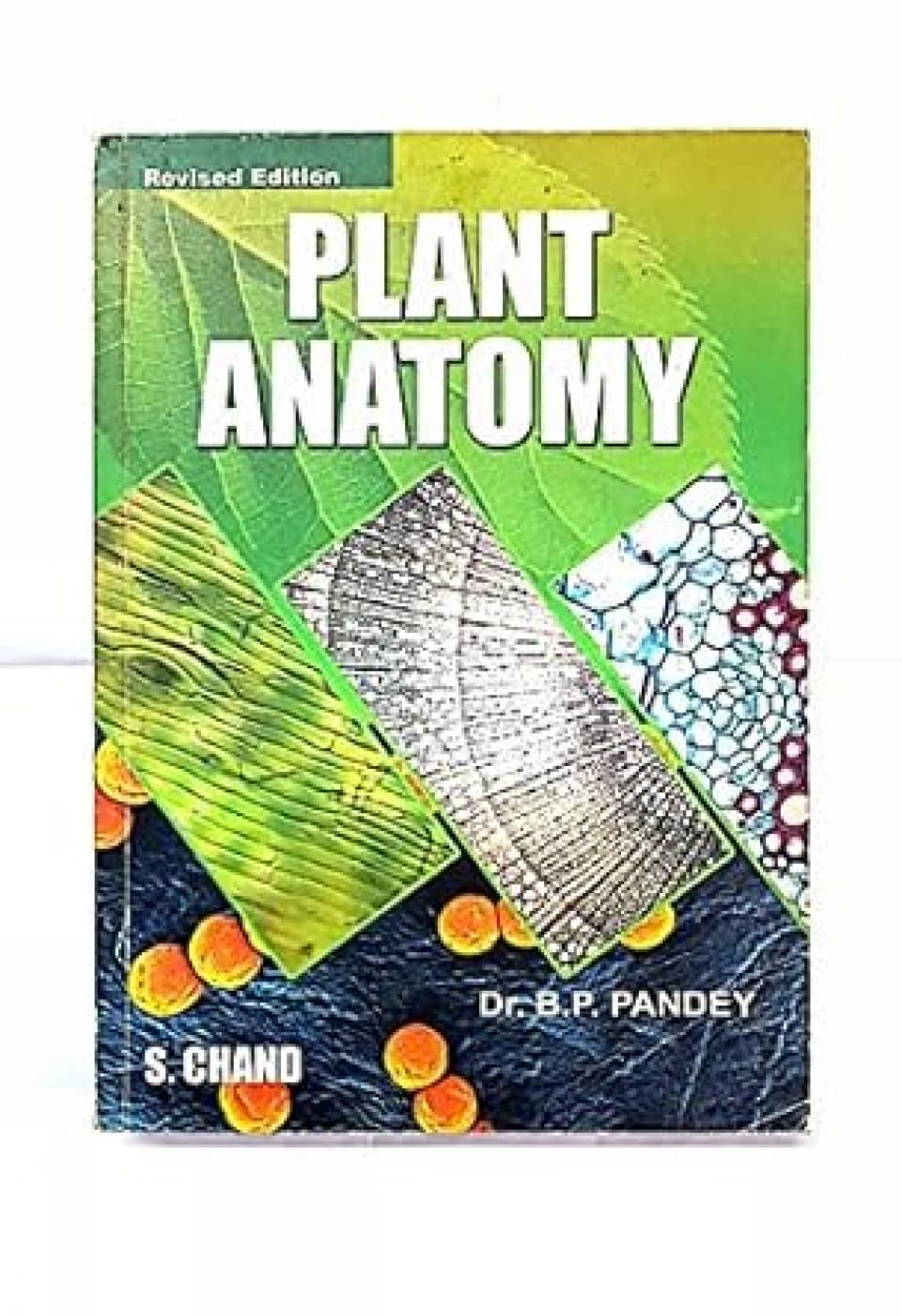 Plant Anatomy: For Degree, Honours and Post Graduates Natural Sciences