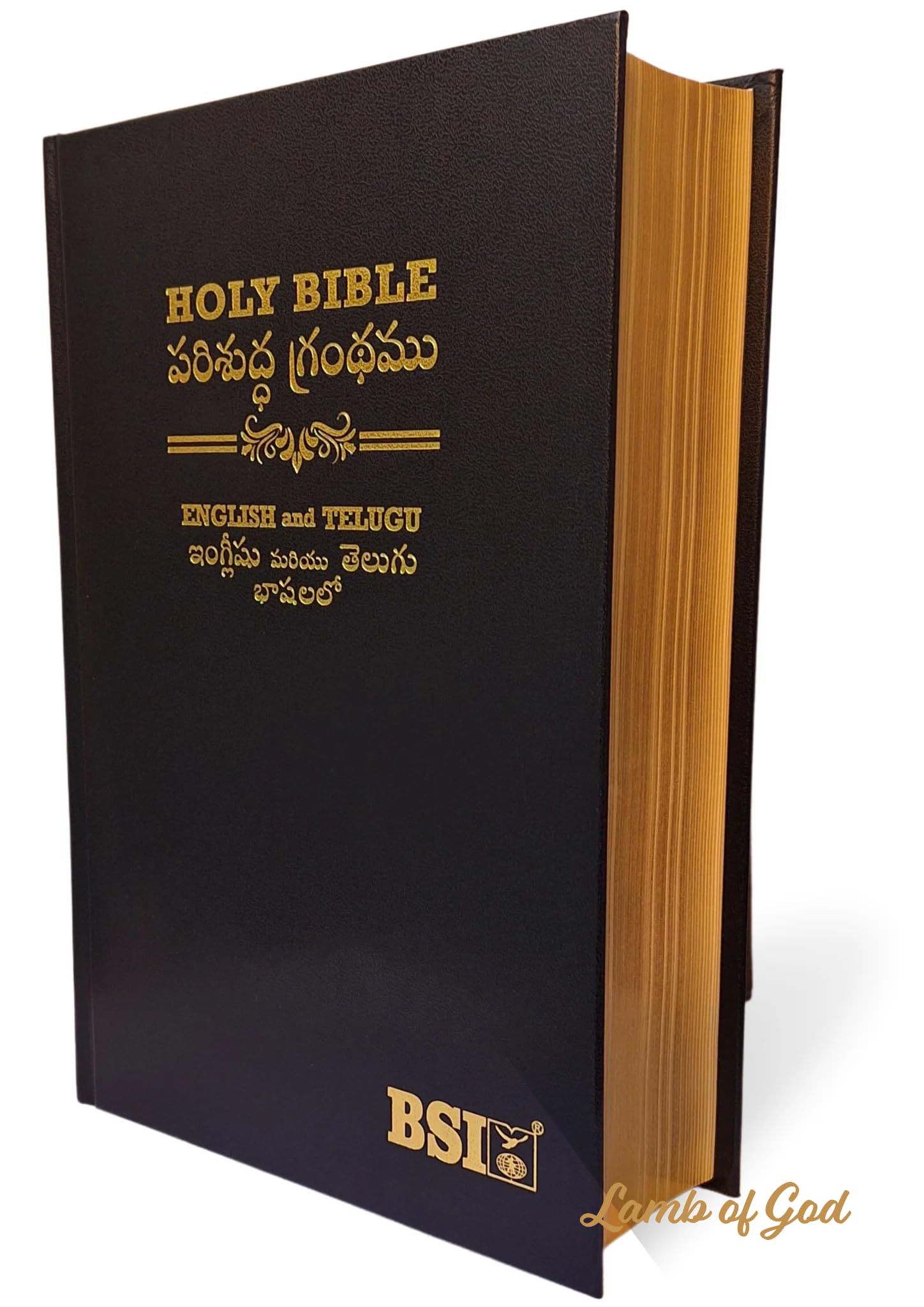 The Holy Bible English Standard Version-Telegu Diglot,Gilt Books