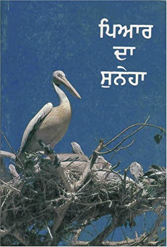 Punjabi (Ov) NT Hardback Religion & Esotericism