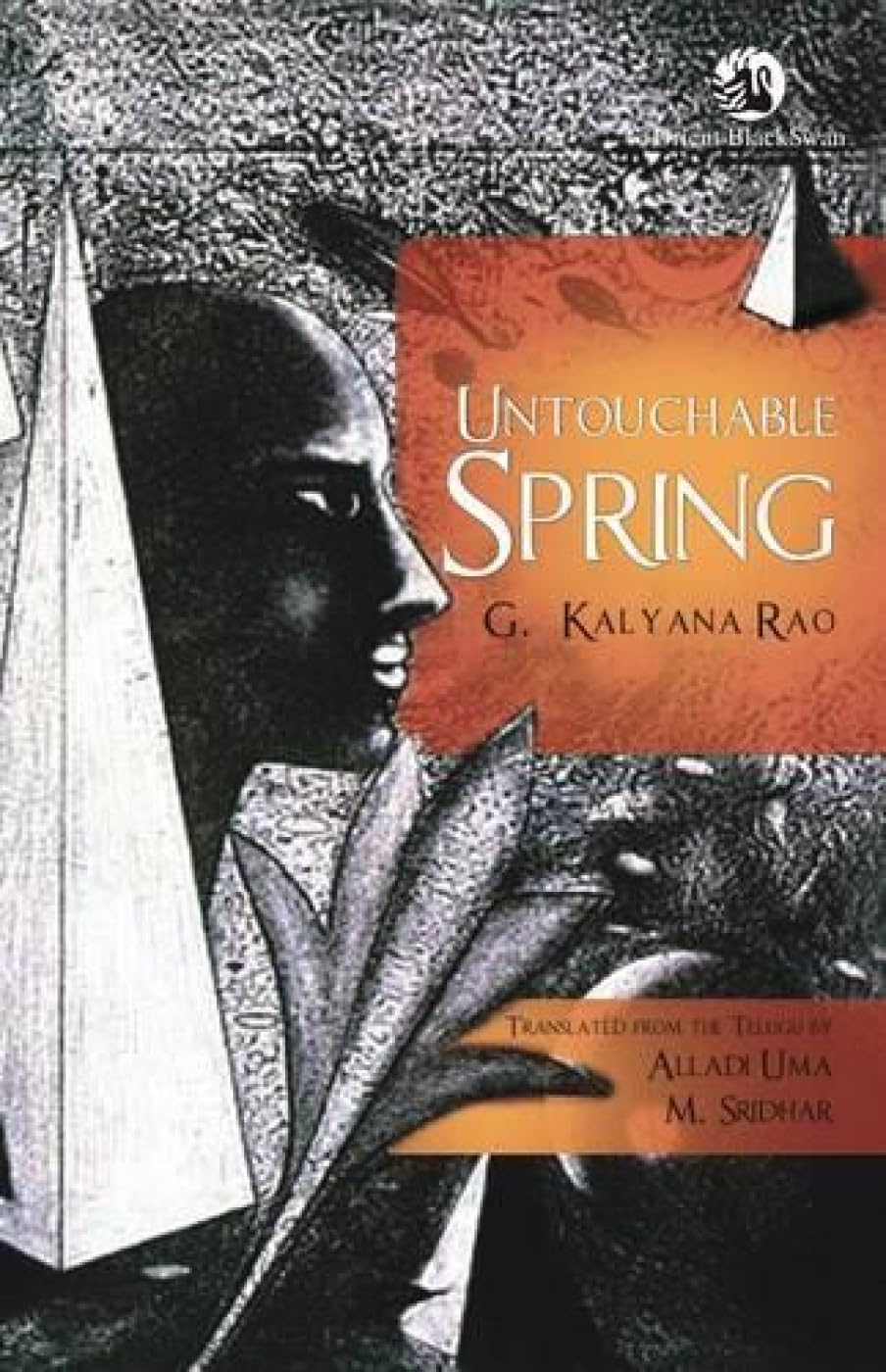 Untouchable Spring book
